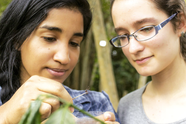 Facultad Ciencias Naturales y Exactas