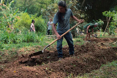 Huertas urbanas: resistencia social y ambiental en la ciudad